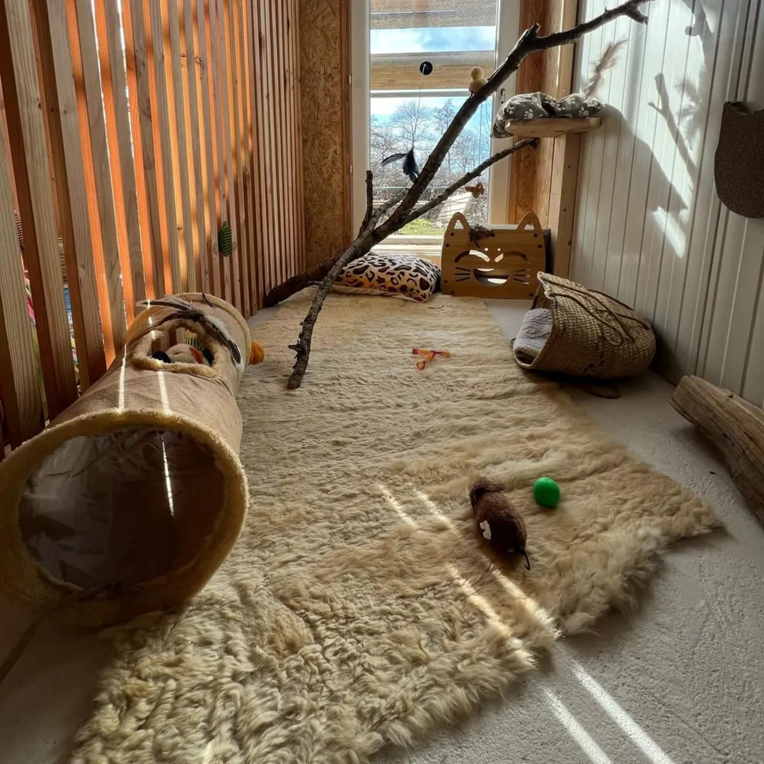 cabane-chasse-chat-caille