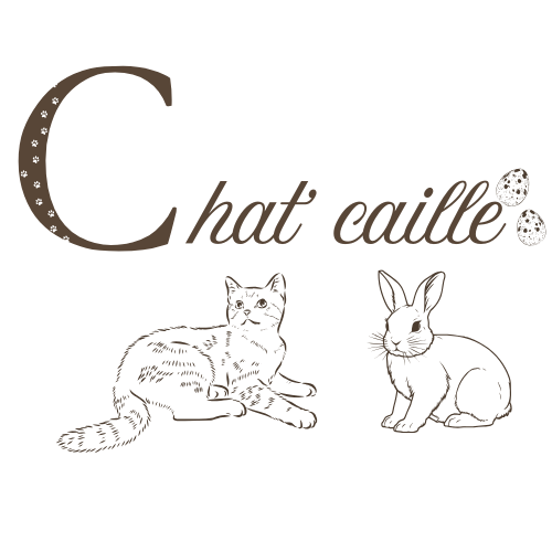 Chat' caille