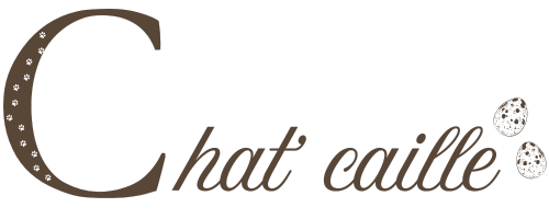 horizontal-logo-chat-caille-marron-3